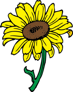 Sunflower In Color Clip Art